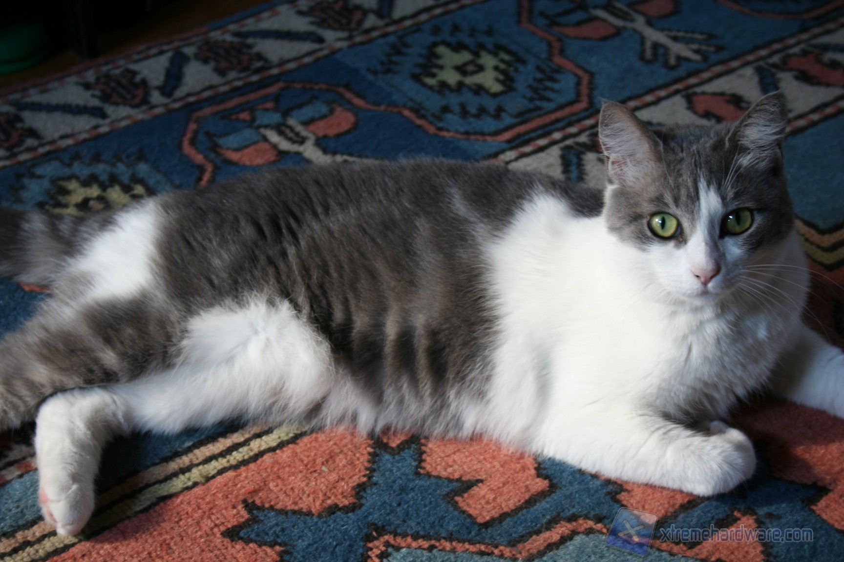 00117 COOLERMASTER COSMOS2 COSMOSII WWW.XTREMEHARDWARE.COM