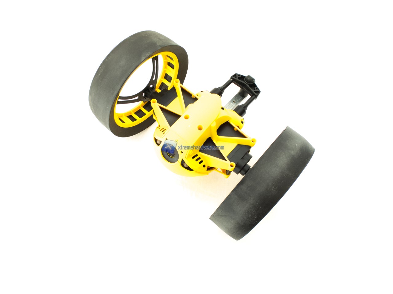 Parrot Jumping Race Tuk Tuk